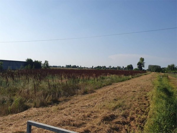 appartamento in vendita a Reggio nell'Emilia