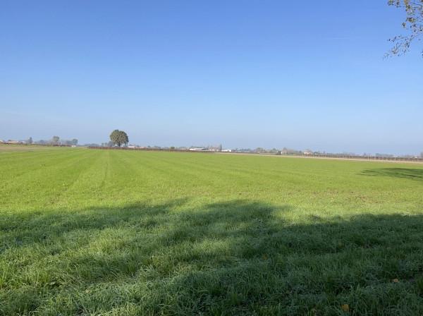 appartamento in vendita a Reggio nell'Emilia in zona Fogliano