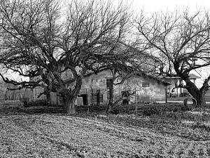 casa indipendente in vendita a Reggio nell'Emilia in zona San Bartolomeo