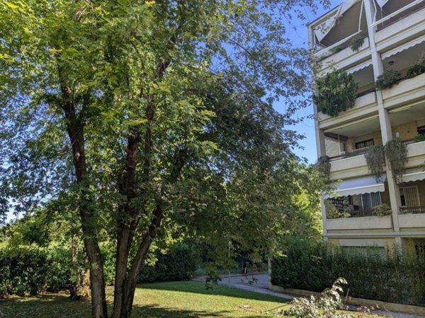 appartamento in vendita a Reggio nell'Emilia