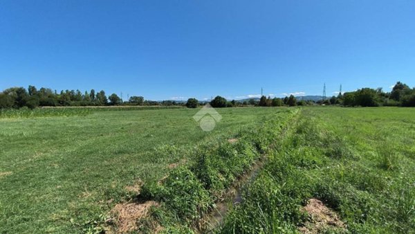 terreno agricolo in vendita a Reggio nell'Emilia in zona Buco del Signore