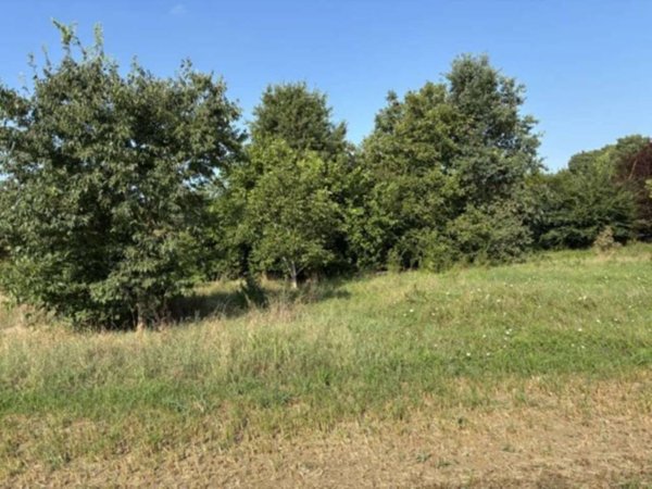 terreno agricolo in vendita a Reggio nell'Emilia in zona Fogliano