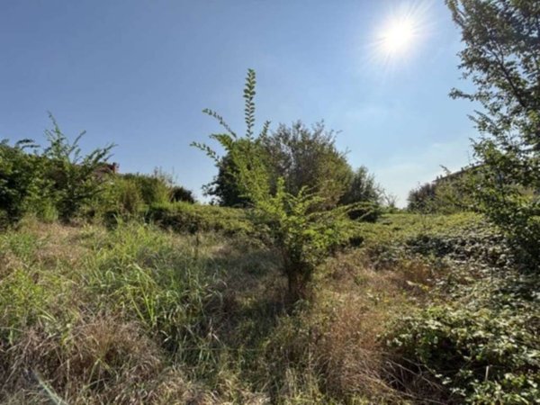 terreno agricolo in vendita a Reggio nell'Emilia in zona Fogliano