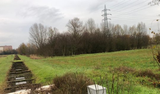 terreno agricolo in vendita a Reggio nell'Emilia in zona Tribunale