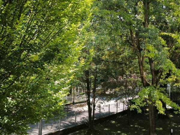 appartamento in vendita a Reggio nell'Emilia in zona Belvedere