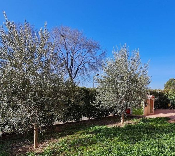 appartamento in vendita a Reggio nell'Emilia in zona Buco del Signore