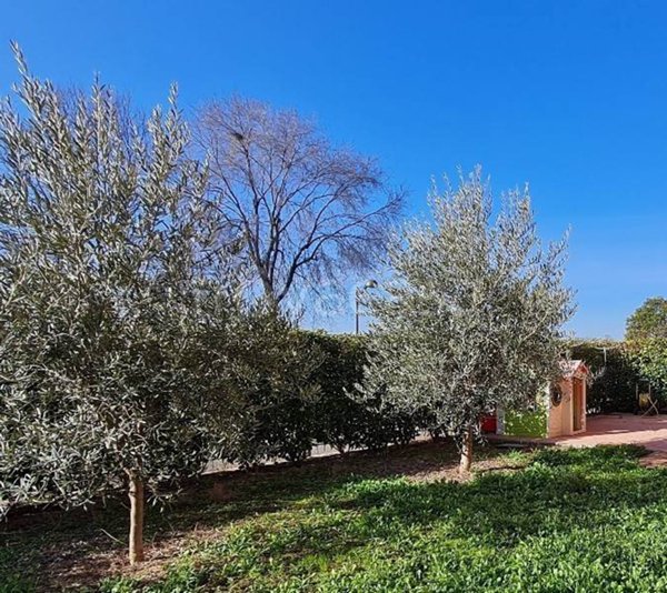 appartamento in vendita a Reggio nell'Emilia in zona Buco del Signore