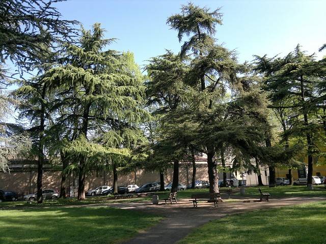 appartamento in vendita a Reggio nell'Emilia