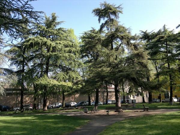 appartamento in vendita a Reggio nell'Emilia in zona Città Storica