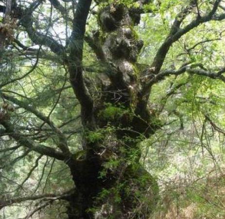 casa indipendente in vendita a Reggio nell'Emilia in zona Città Storica