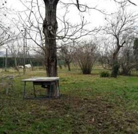 casa indipendente in vendita a Reggio nell'Emilia in zona Città Storica