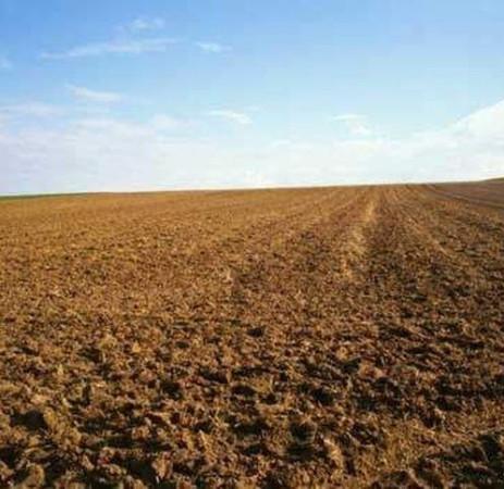 casale in vendita a Reggio nell'Emilia in zona Gavassa