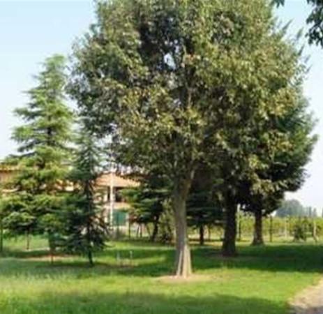 casale in vendita a Reggio nell'Emilia in zona Città Storica