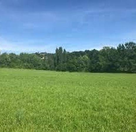 casale in vendita a Reggio nell'Emilia in zona San Bartolomeo