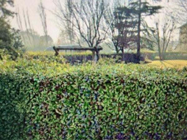 appartamento in vendita a Reggio nell'Emilia in zona Rivalta