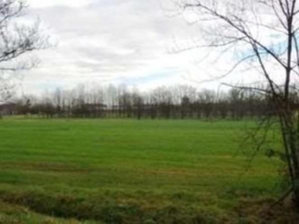 terreno agricolo in vendita a Reggio nell'Emilia in zona San Prospero Strinati
