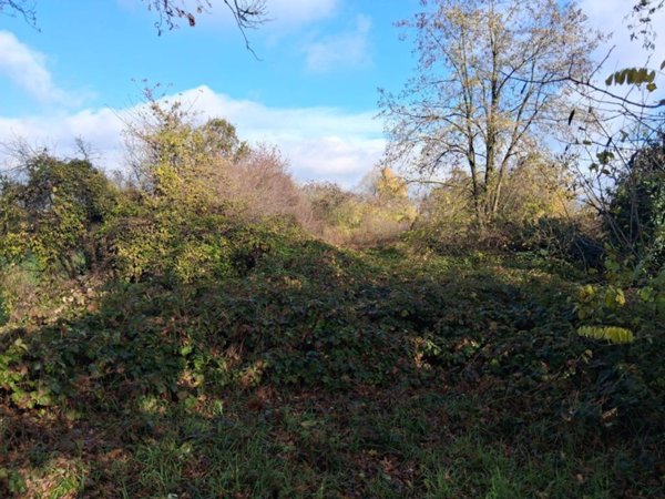 terreno agricolo in vendita a Reggio nell'Emilia in zona Codemondo