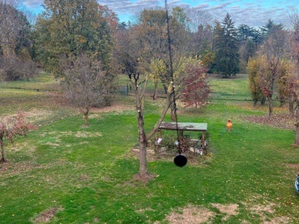 appartamento in vendita a Reggio nell'Emilia