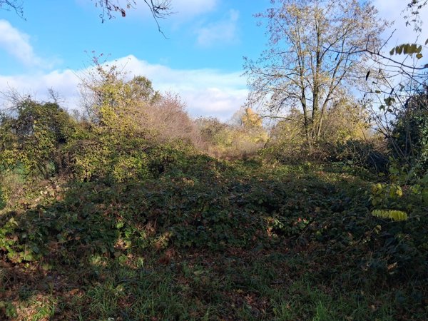 terreno agricolo in vendita a Reggio nell'Emilia in zona Codemondo