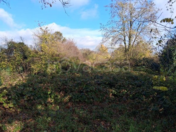 terreno agricolo in vendita a Reggio nell'Emilia in zona Codemondo
