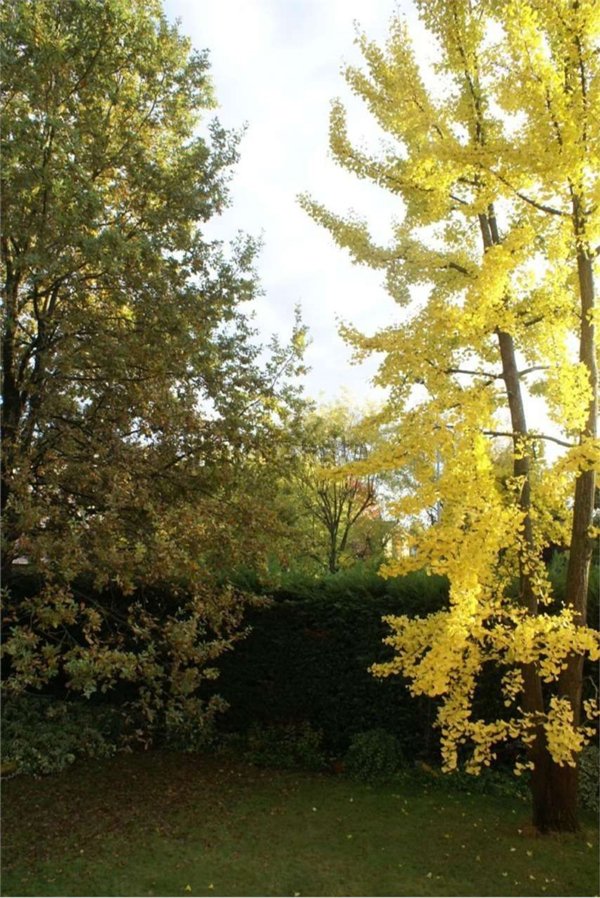 casa indipendente a Reggio nell'Emilia in zona San Pellegrino / Villa Canali
