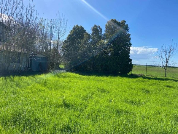 pentavano in vendita a Reggio nell'Emilia in zona Pieve Modolena