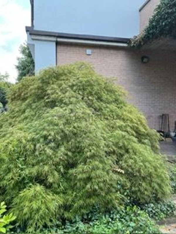 casa indipendente a Reggio nell'Emilia in zona San Pellegrino / Villa Canali