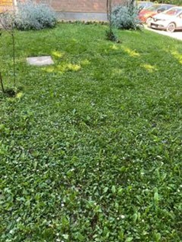 casa indipendente in vendita a Reggio nell'Emilia in zona Rivalta