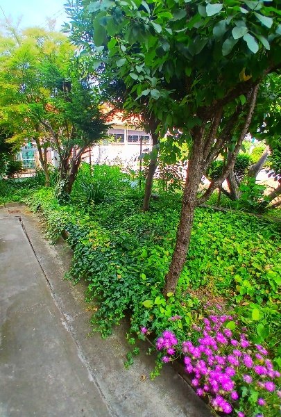 appartamento in vendita a Reggio nell'Emilia in zona Ospizio