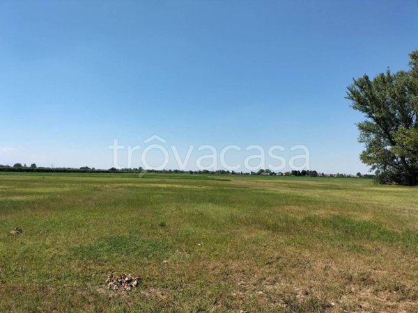 terreno agricolo in vendita a Reggio nell'Emilia in zona Pratofontana