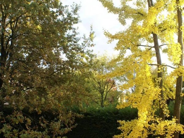 casa indipendente a Reggio nell'Emilia in zona San Pellegrino / Villa Canali