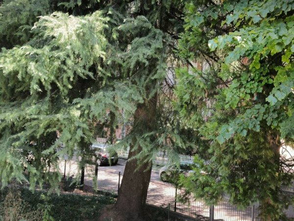 appartamento in vendita a Reggio nell'Emilia in zona Belvedere