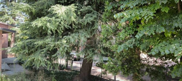 appartamento in vendita a Reggio nell'Emilia in zona Baragalla