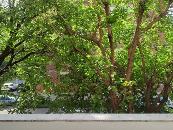 appartamento in vendita a Reggio nell'Emilia