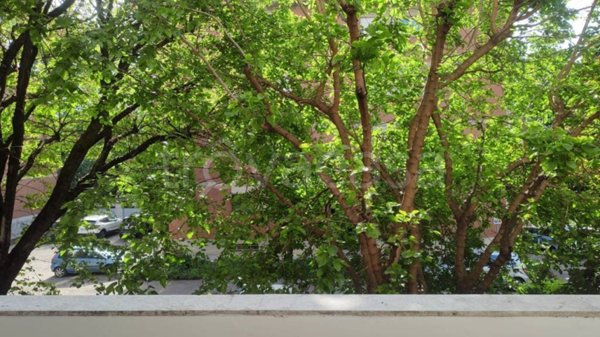 appartamento in vendita a Reggio nell'Emilia in zona Ospizio