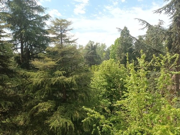 appartamento in vendita a Reggio nell'Emilia in zona Orologio