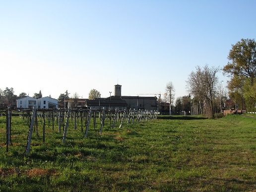 appartamento in vendita a Reggio nell'Emilia in zona Fogliano