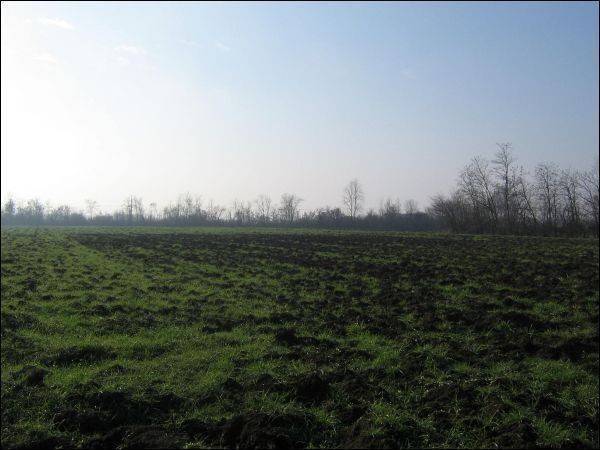 casale in vendita a Reggio nell'Emilia in zona Codemondo