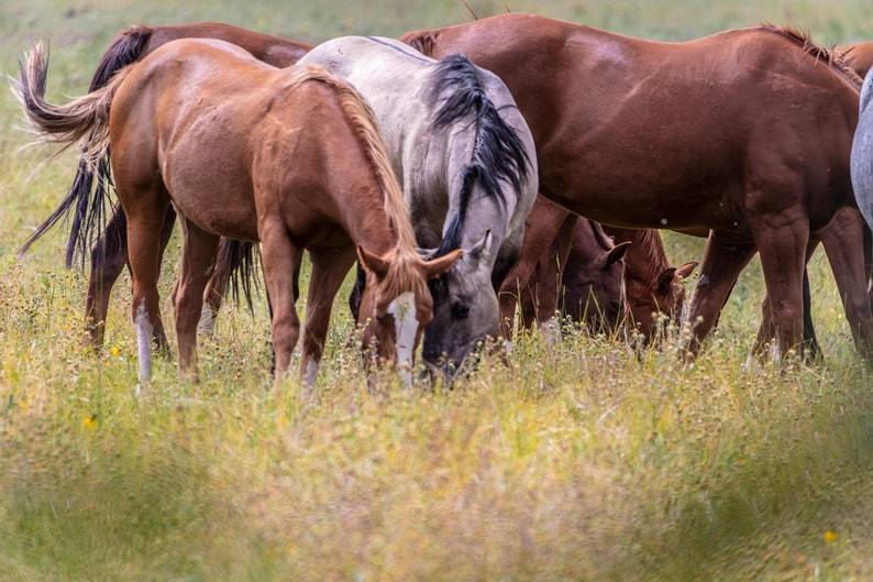 casa indipendente in vendita a Reggio nell'Emilia
