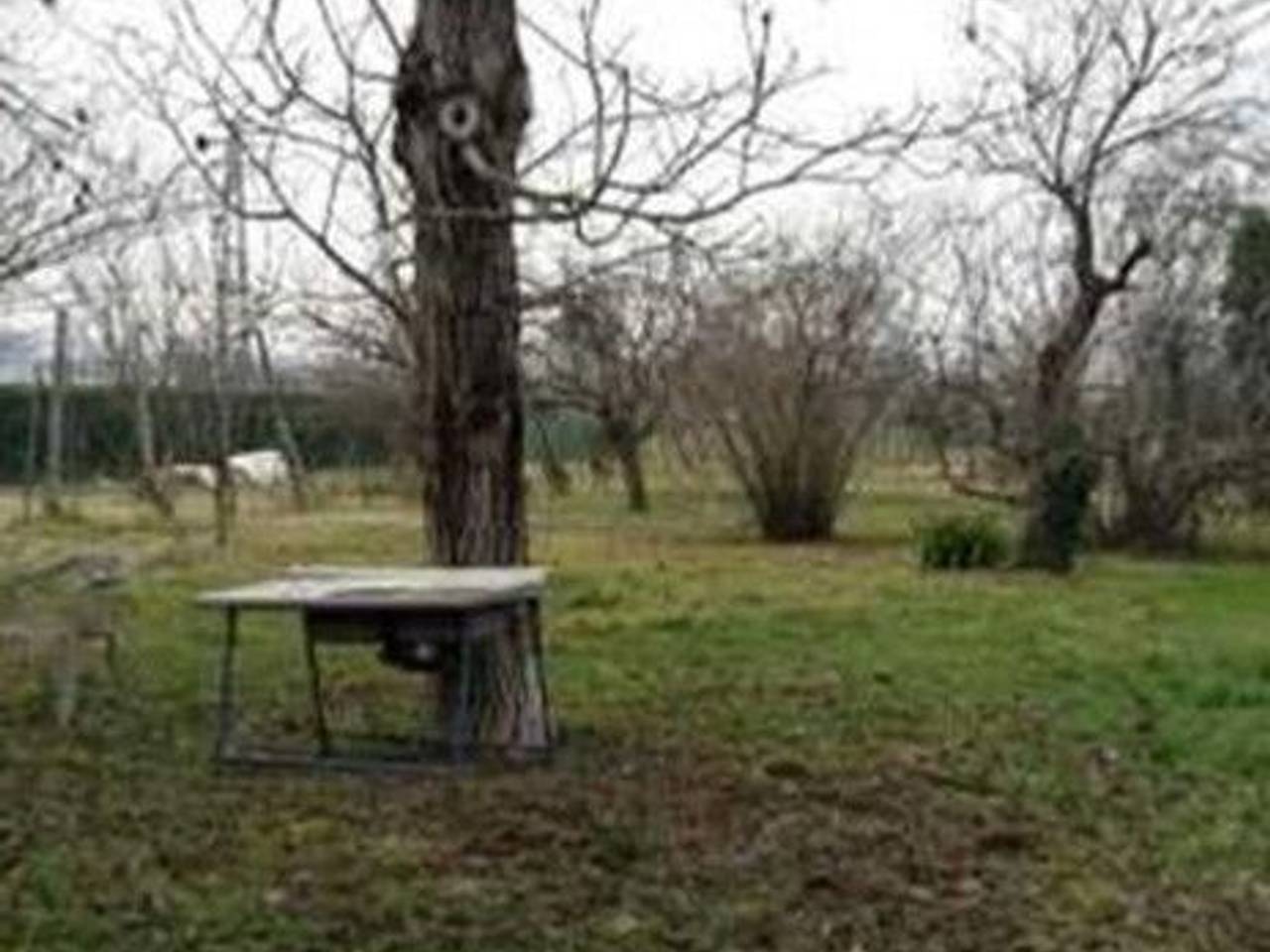 casa indipendente in vendita a Reggio nell'Emilia in zona Città Storica