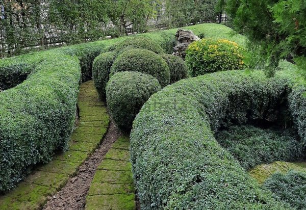 casa indipendente a Reggio nell'Emilia in zona San Pellegrino / Villa Canali