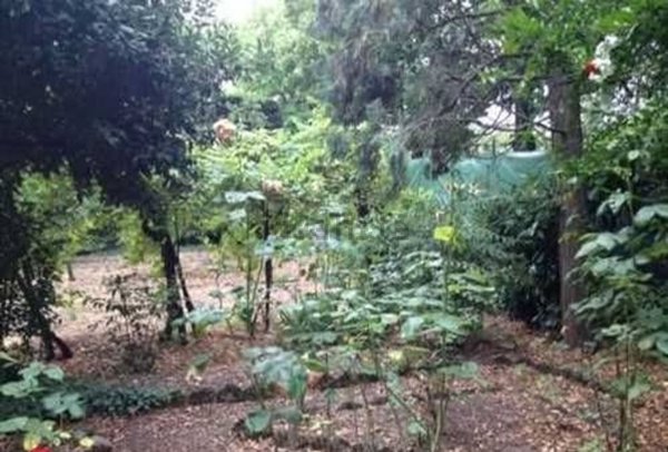 casa indipendente in vendita a Reggio nell'Emilia in zona Città Storica