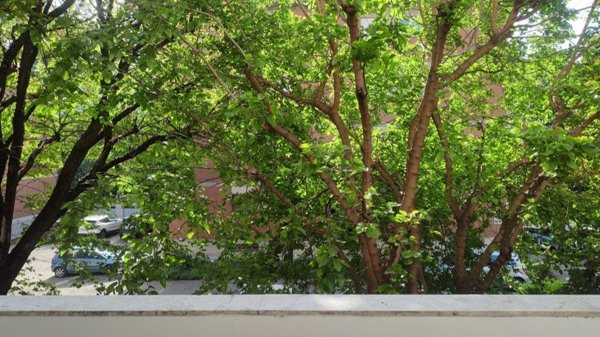 appartamento in vendita a Reggio nell'Emilia