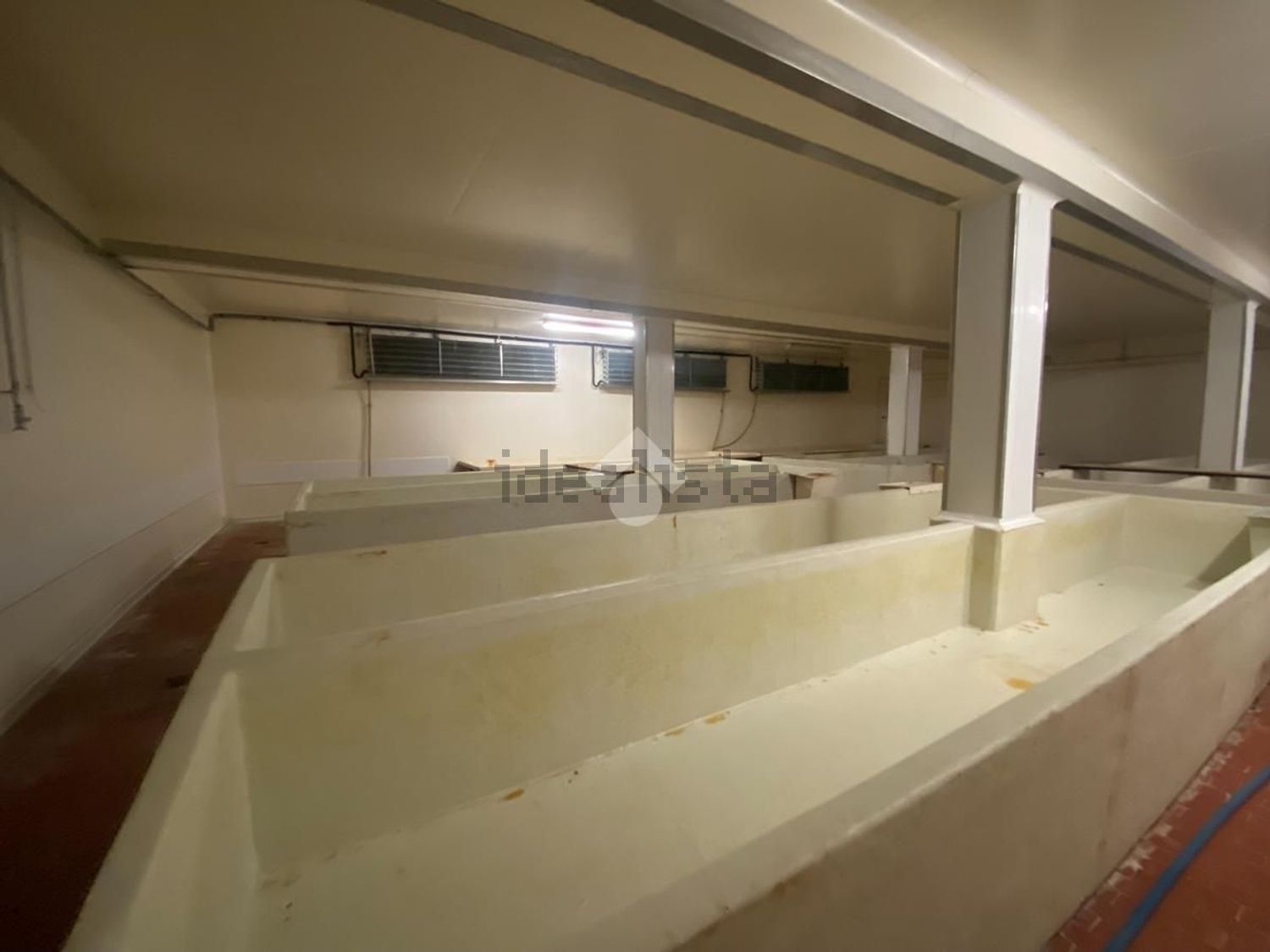 terreno agricolo in vendita a Reggio nell'Emilia