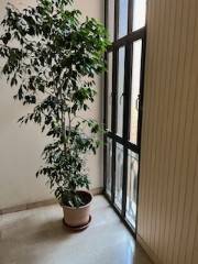 appartamento in vendita a Reggio nell'Emilia in zona Pappagnocca