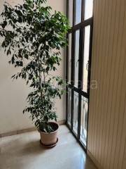 appartamento in vendita a Reggio nell'Emilia in zona Buco del Signore