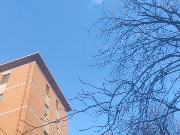 appartamento in vendita a Reggio nell'Emilia