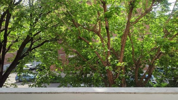 appartamento in vendita a Reggio nell'Emilia in zona Ospizio