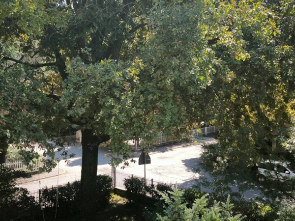 appartamento in vendita a Reggio nell'Emilia in zona Belvedere