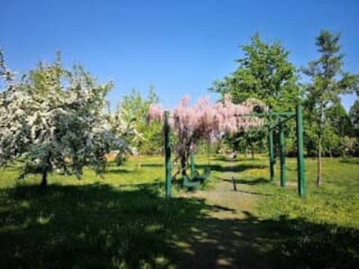 appartamento in vendita a Reggio nell'Emilia in zona Ospizio